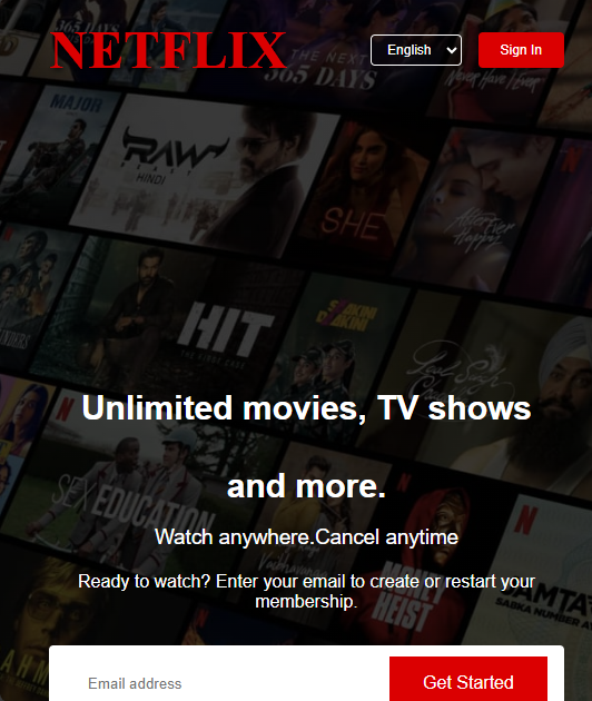 Netflix Clone Website Project